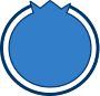 Icon (Custom) (2)